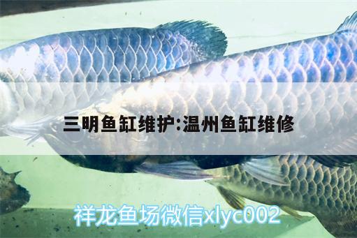 三明魚(yú)缸維護(hù):溫州魚(yú)缸維修 龍魚(yú)芯片掃碼器