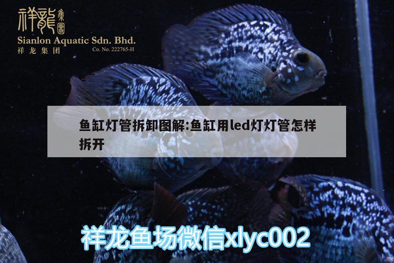 魚缸燈管拆卸圖解:魚缸用led燈燈管怎樣拆開