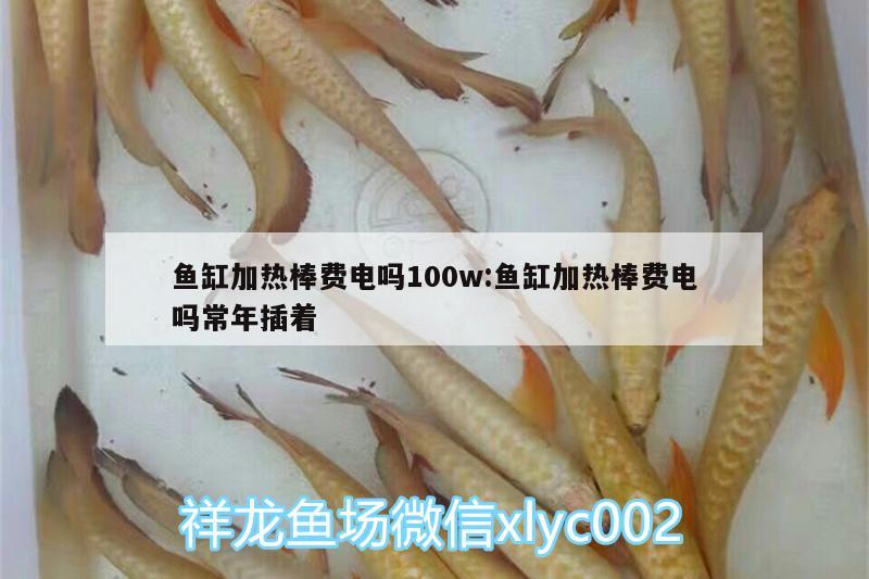 魚缸加熱棒費電嗎100w:魚缸加熱棒費電嗎常年插著