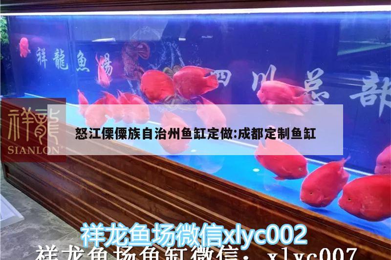 怒江傈僳族自治州魚缸定做:成都定制魚缸