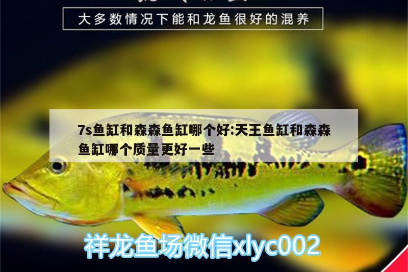 7s魚缸和森森魚缸哪個好:天王魚缸和森森魚缸哪個質(zhì)量更好一些