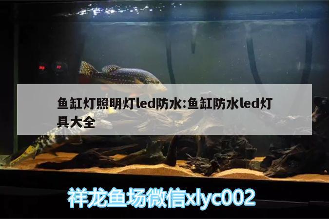 魚缸燈照明燈led防水:魚缸防水led燈具大全 祥龍水族護(hù)理水