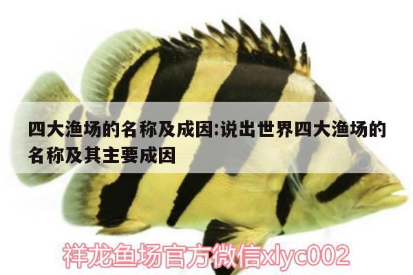 四大漁場的名稱及成因:說出世界四大漁場的名稱及其主要成因 魚缸百科 第2張