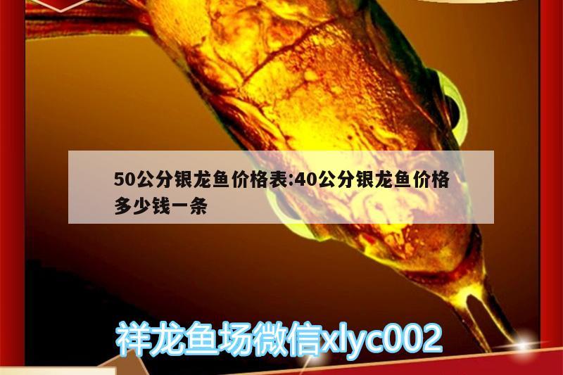 50公分銀龍魚價(jià)格表:40公分銀龍魚價(jià)格多少錢一條