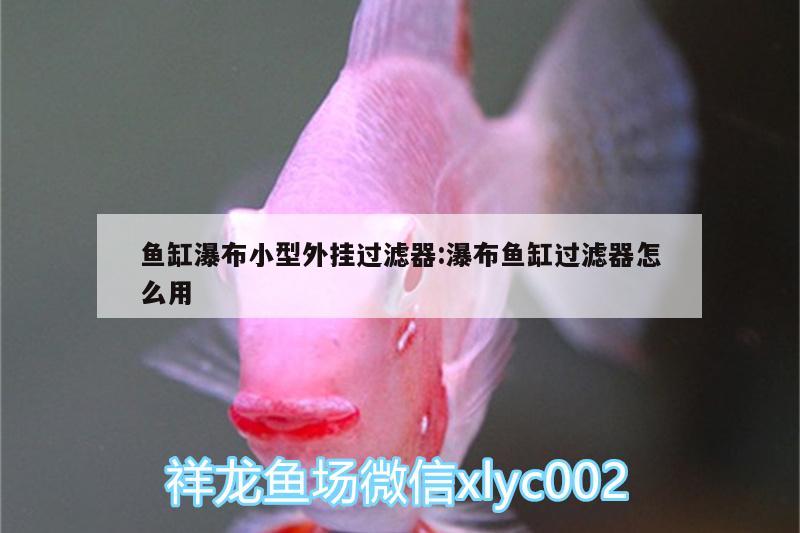 魚缸瀑布小型外掛過濾器:瀑布魚缸過濾器怎么用 白子銀版魚