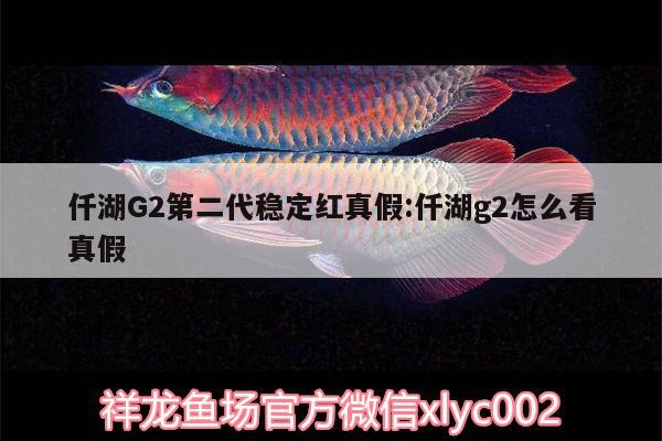 仟湖G2第二代穩(wěn)定紅真假:仟湖g2怎么看真假