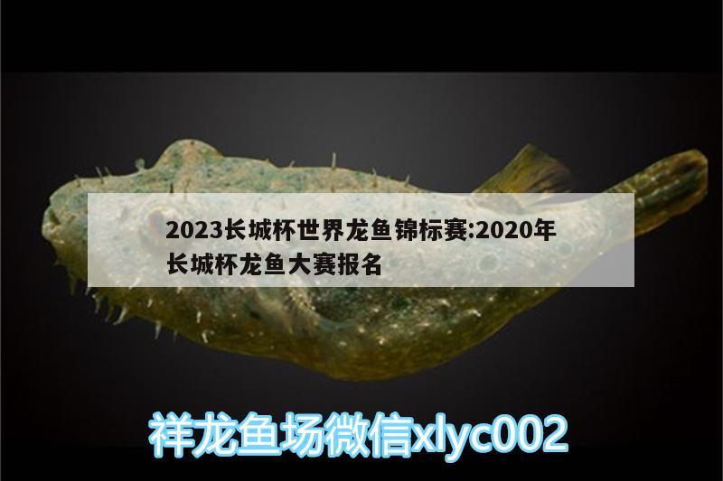 2023長城杯世界龍魚錦標(biāo)賽:2020年長城杯龍魚大賽報名 2024第28屆中國國際寵物水族展覽會CIPS（長城寵物展2024 CIPS）