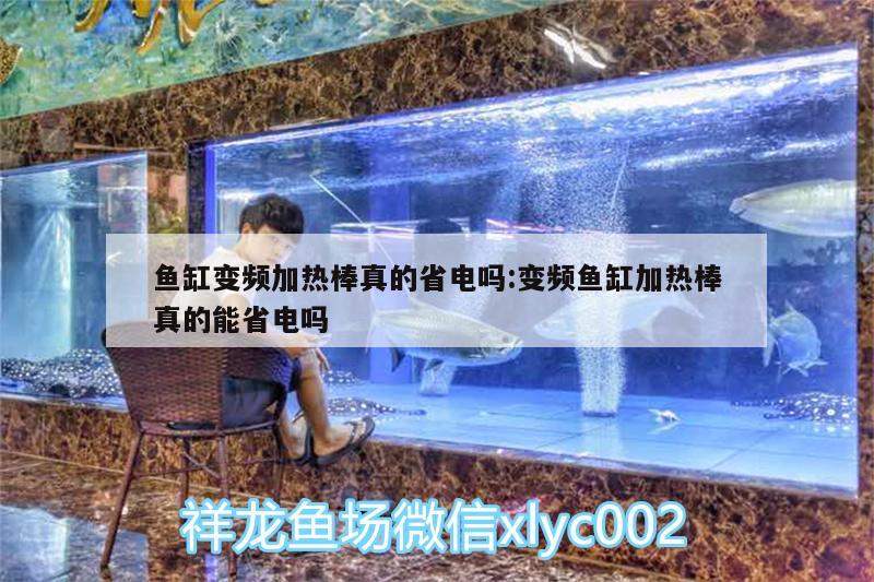 魚缸變頻加熱棒真的省電嗎:變頻魚缸加熱棒真的能省電嗎 野生地圖魚