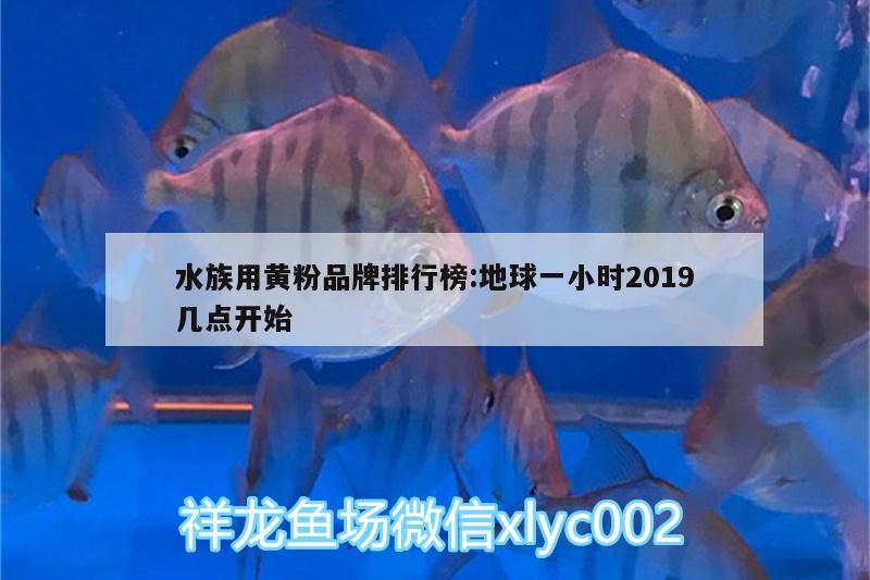 水族用黃粉品牌排行榜:地球一小時(shí)2019幾點(diǎn)開始 暹羅巨鯉