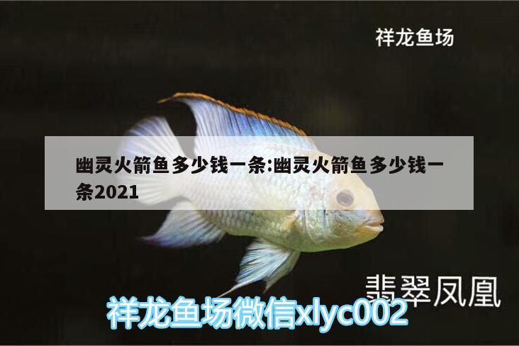 幽靈火箭魚多少錢一條:幽靈火箭魚多少錢一條2021