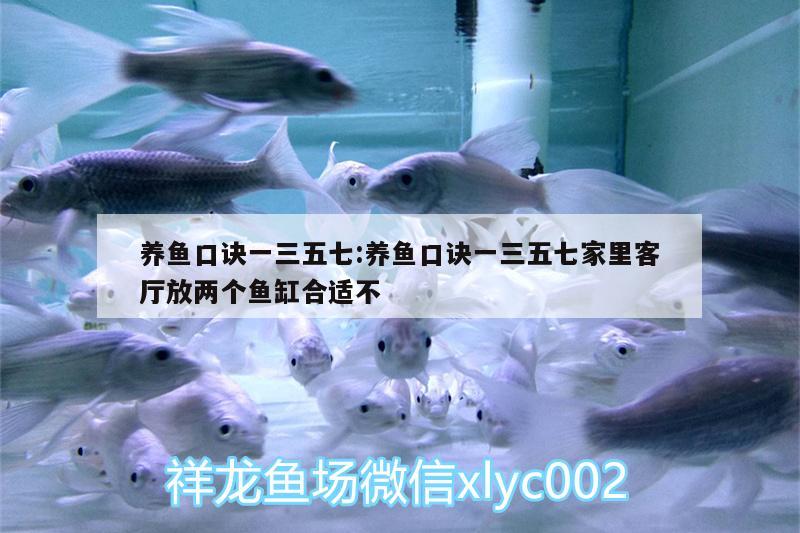 養(yǎng)魚口訣一三五七:養(yǎng)魚口訣一三五七家里客廳放兩個魚缸合適不