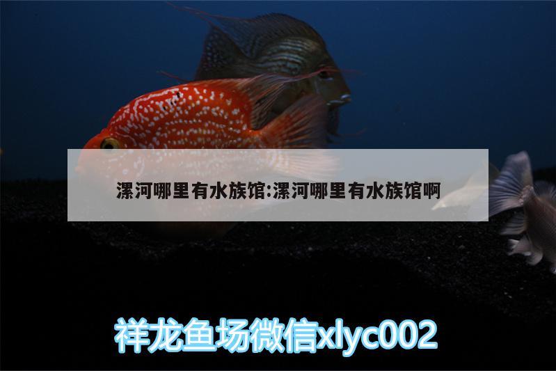 漯河哪里有水族館:漯河哪里有水族館啊