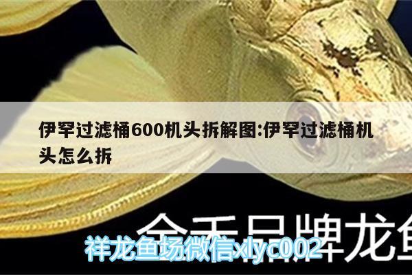 伊罕過濾桶600機頭拆解圖:伊罕過濾桶機頭怎么拆