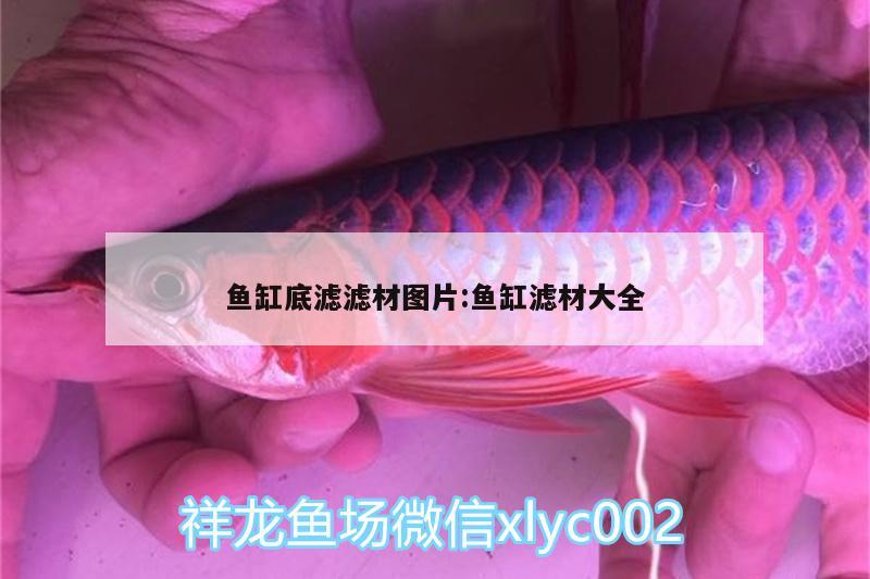 魚缸底濾濾材圖片:魚缸濾材大全