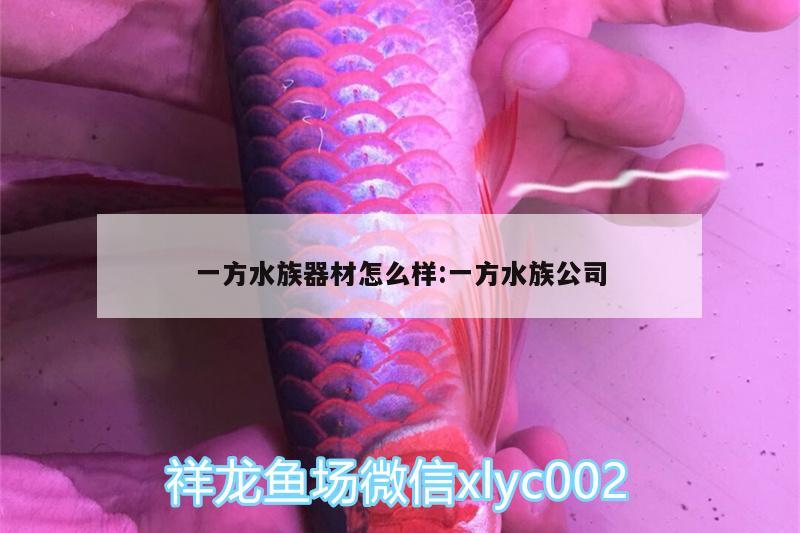 一方水族器材怎么樣:一方水族公司