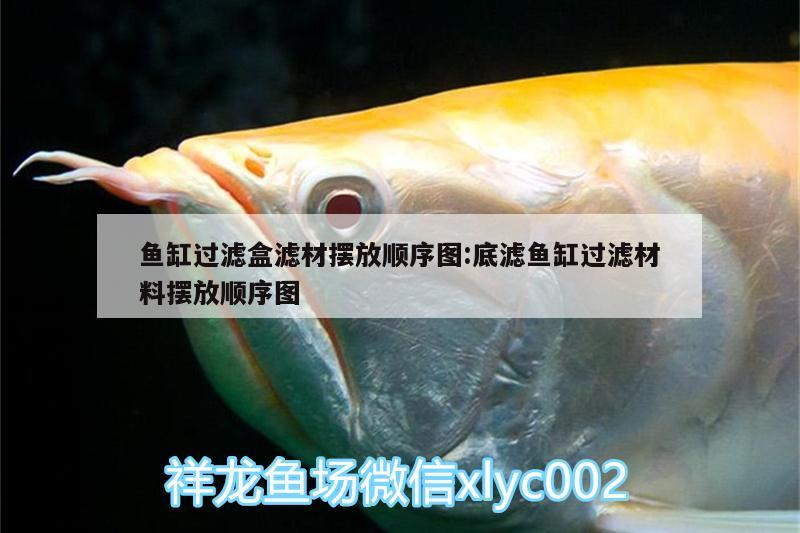 魚缸過濾盒濾材擺放順序圖:底濾魚缸過濾材料擺放順序圖