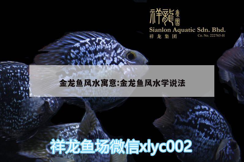 金龍魚風水寓意:金龍魚風水學說法 魚缸風水