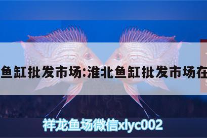 淮北魚缸批發(fā)市場:淮北魚缸批發(fā)市場在哪里 黃鰭鯧魚