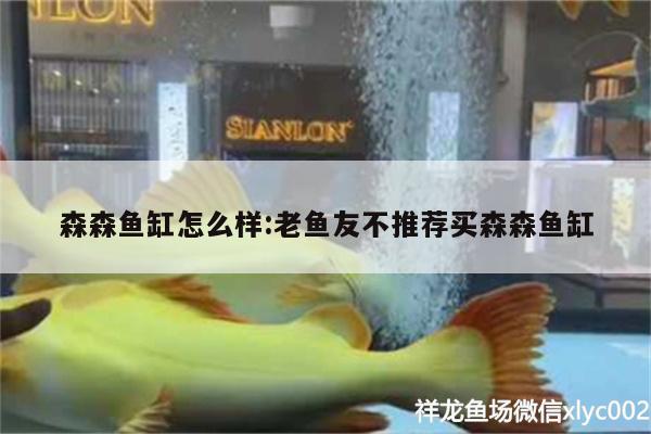 森森魚(yú)缸怎么樣:老魚(yú)友不推薦買(mǎi)森森魚(yú)缸