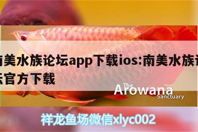 南美水族論壇app下載ios:南美水族論壇官方下載 杰西卡恐龍魚