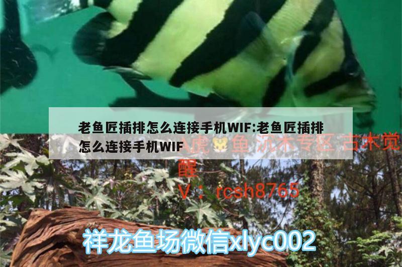 老魚匠插排怎么連接手機WIF:老魚匠插排怎么連接手機WIF 老魚匠