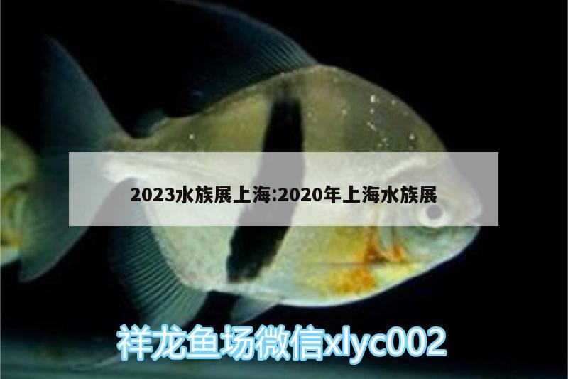 2023水族展上海:2020年上海水族展 水族展會