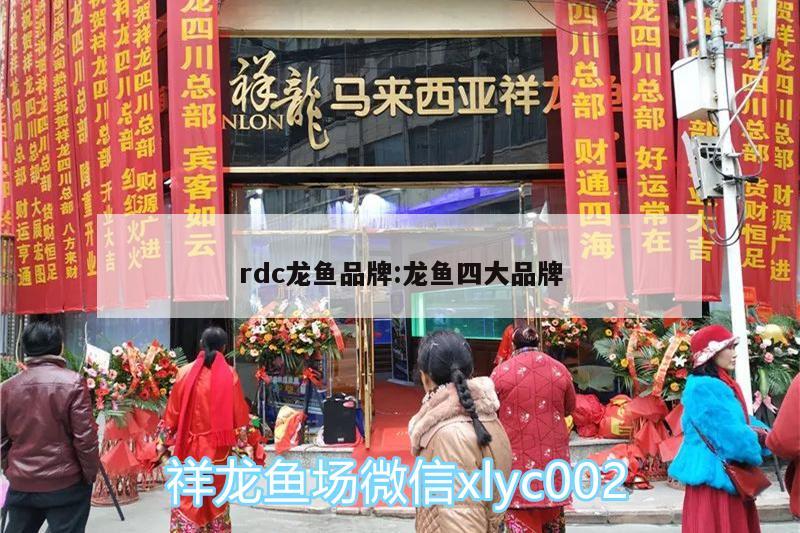 rdc龍魚品牌:龍魚四大品牌 銀古魚苗