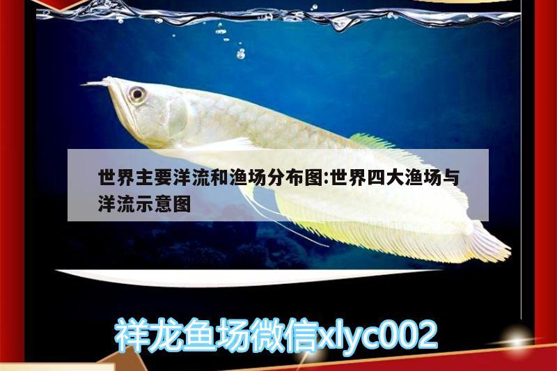 世界主要洋流和漁場分布圖:世界四大漁場與洋流示意圖 粗線銀版魚苗