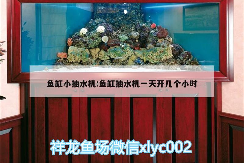 魚缸小抽水機(jī):魚缸抽水機(jī)一天開幾個小時 錦鯉池魚池建設(shè)