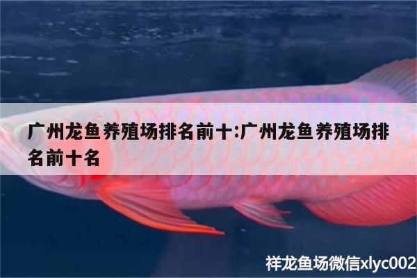 廣州龍魚養(yǎng)殖場排名前十:廣州龍魚養(yǎng)殖場排名前十名 祥龍金禾金龍魚