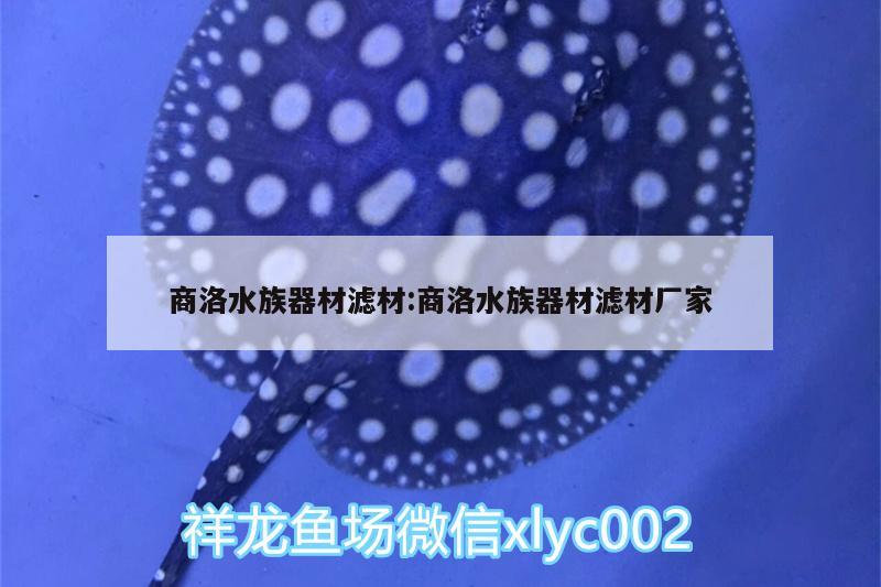 商洛水族器材濾材:商洛水族器材濾材廠家 祥龍金禾金龍魚