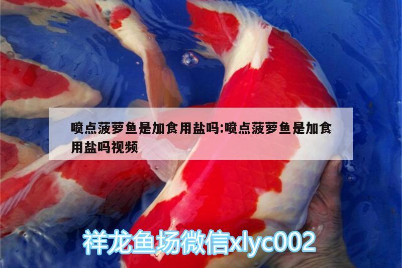 噴點(diǎn)菠蘿魚是加食用鹽嗎:噴點(diǎn)菠蘿魚是加食用鹽嗎視頻