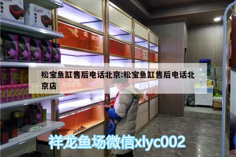 松寶魚缸售后電話北京:松寶魚缸售后電話北京店 海象魚