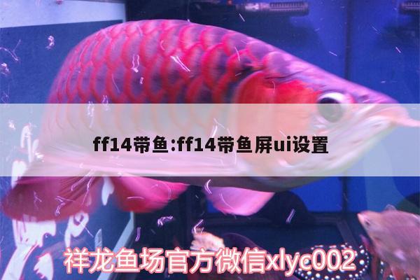 ff14帶魚:ff14帶魚屏ui設(shè)置