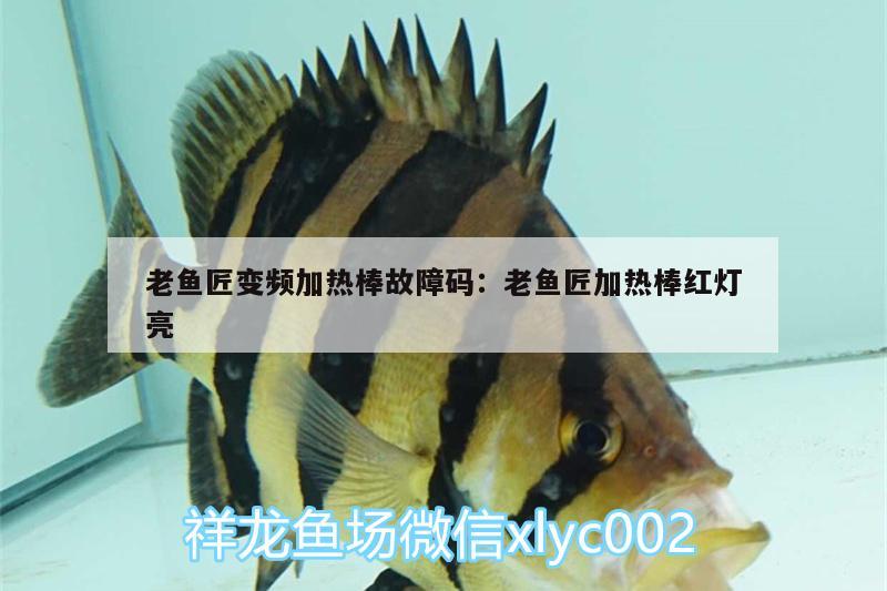 老魚匠變頻加熱棒故障碼:老魚匠加熱棒紅燈亮