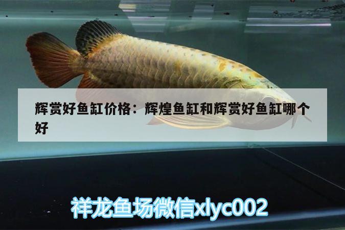 輝賞好魚缸價格:輝煌魚缸和輝賞好魚缸哪個好 魚缸水質(zhì)穩(wěn)定劑