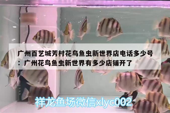 廣州百藝城芳村花鳥魚蟲新世界店電話多少號:廣州花鳥魚蟲新世界有多少店鋪開了