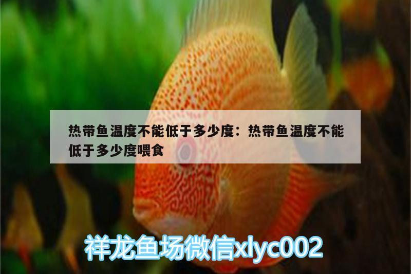 熱帶魚溫度不能低于多少度:熱帶魚溫度不能低于多少度喂食