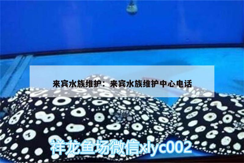 來賓水族維護:來賓水族維護中心電話 觀賞魚