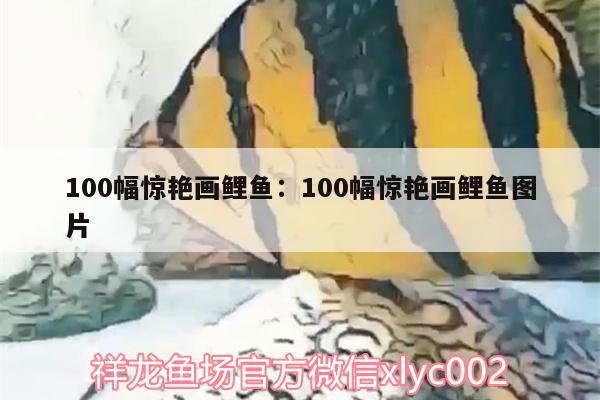 100幅驚艷畫(huà)鯉魚(yú):100幅驚艷畫(huà)鯉魚(yú)圖片