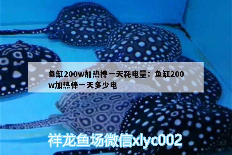 魚缸200w加熱棒一天耗電量:魚缸200w加熱棒一天多少電 大正錦鯉魚