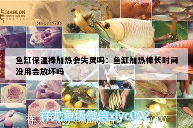 魚缸保溫棒加熱會失靈嗎:魚缸加熱棒長時間沒用會放壞嗎 祥禾Super Red紅龍魚