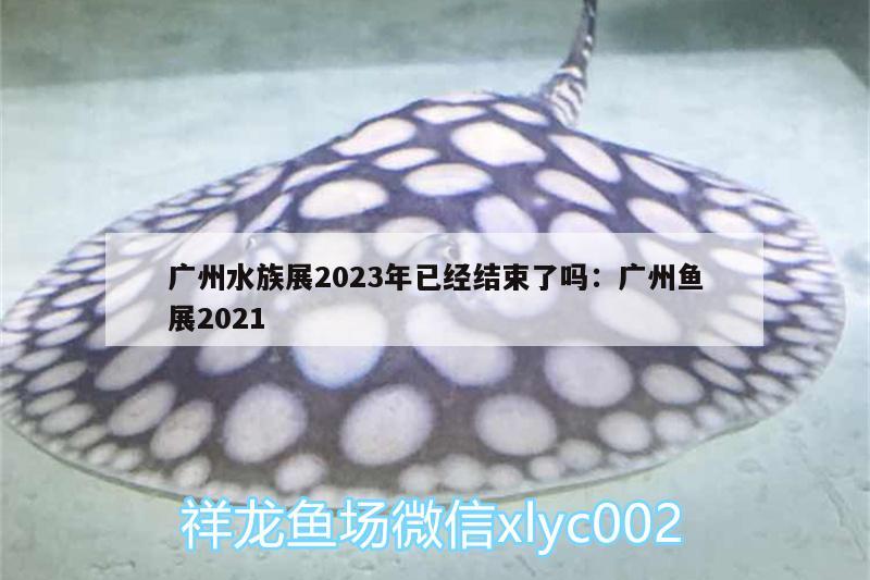 廣州水族展2023年已經(jīng)結(jié)束了嗎:廣州魚展2021 水族展會(huì)