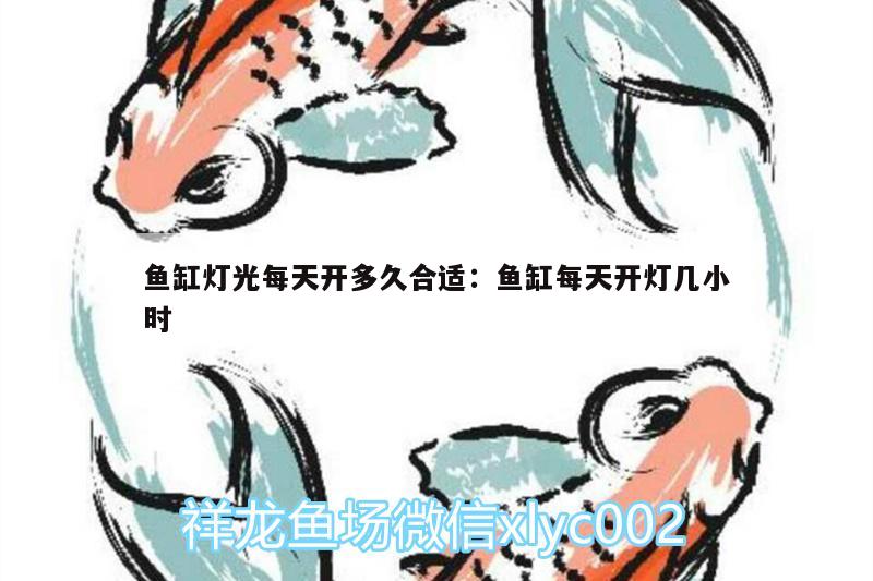 魚缸燈光每天開多久合適:魚缸每天開燈幾小時(shí) 黃金貓魚