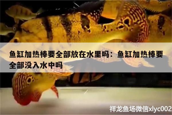 魚缸加熱棒要全部放在水里嗎:魚缸加熱棒要全部沒入水中嗎 泰龐海蓮魚