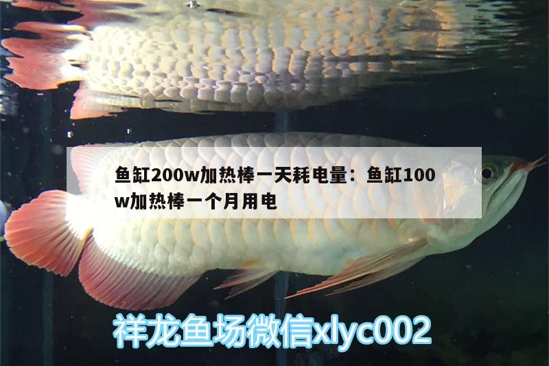 魚缸200w加熱棒一天耗電量:魚缸100w加熱棒一個(gè)月用電 黑水素