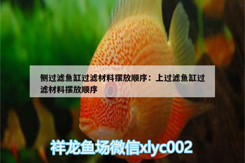 側過濾魚缸過濾材料擺放順序:上過濾魚缸過濾材料擺放順序 巴西亞魚苗