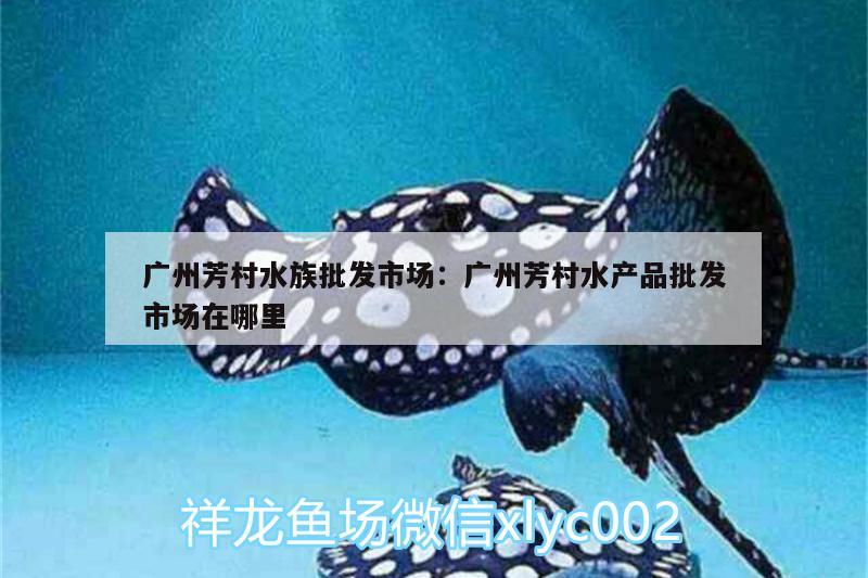 廣州芳村水族批發(fā)市場:廣州芳村水產(chǎn)品批發(fā)市場在哪里