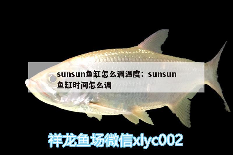 sunsun魚缸怎么調(diào)溫度:sunsun魚缸時(shí)間怎么調(diào) 黃金鴨嘴魚