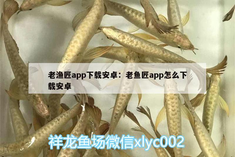 老漁匠app下載安卓:老魚匠app怎么下載安卓 老魚匠